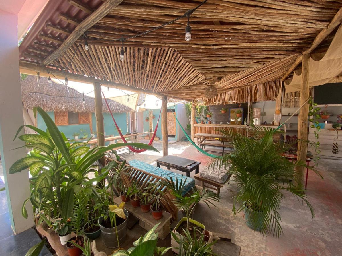 Hostel Barco *