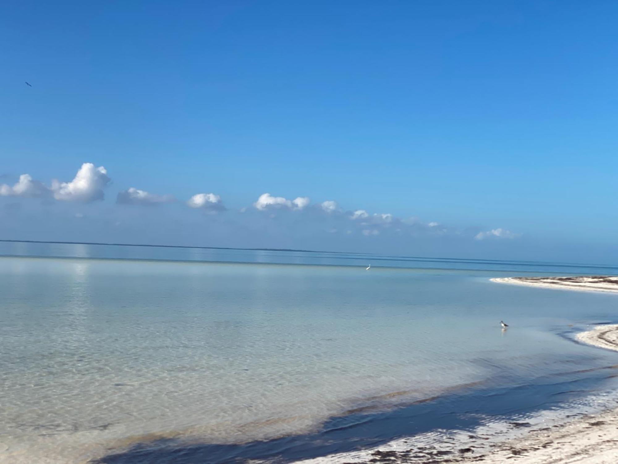 Barco * Isla Holbox