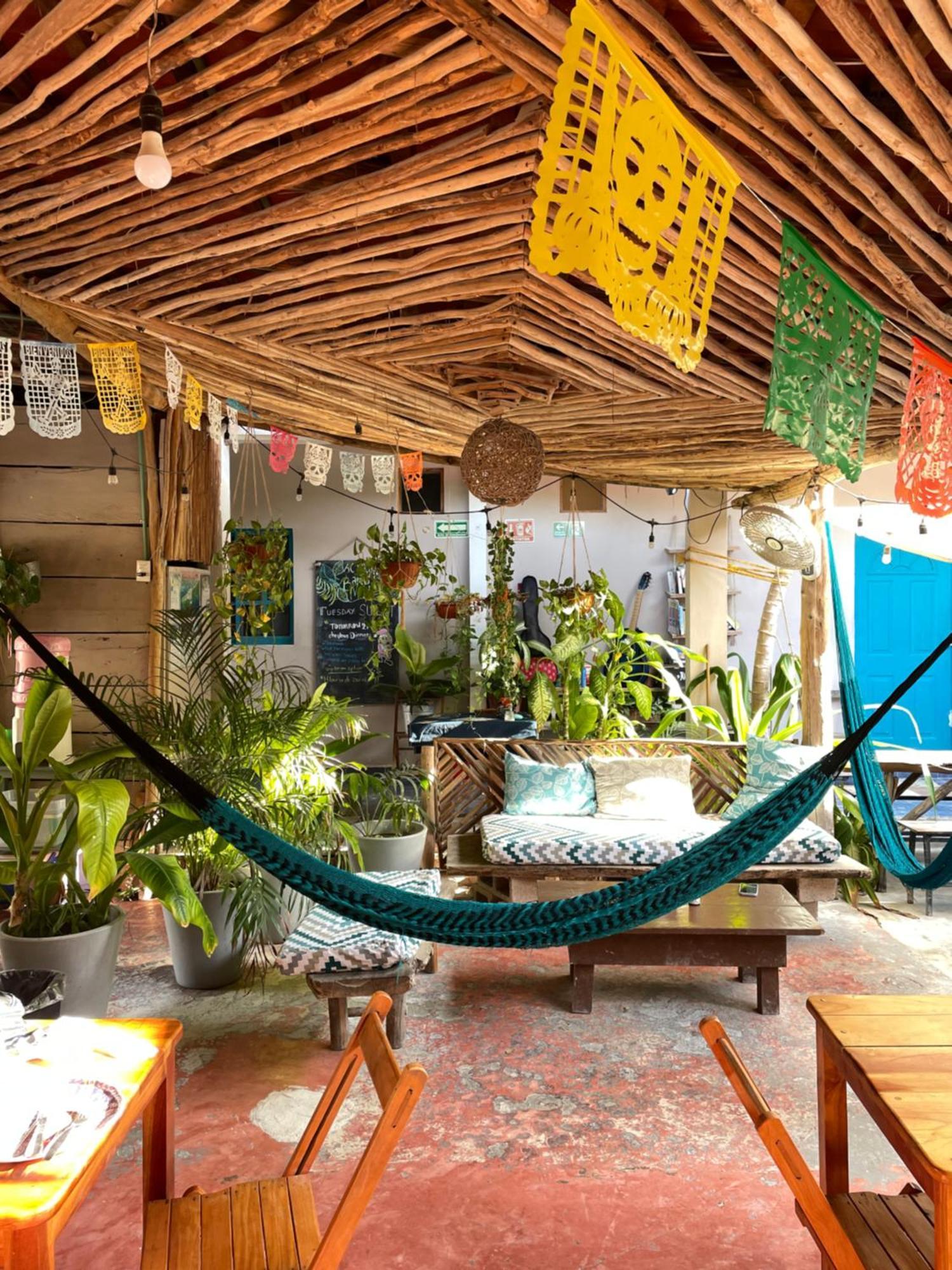 Hostel Barco Isla Holbox